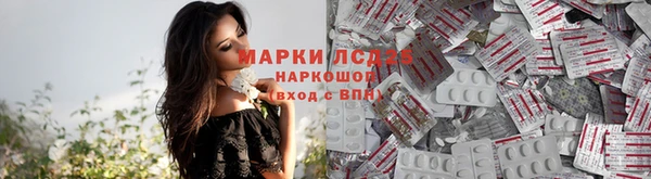 бошки Бородино