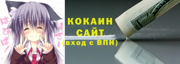бошки Бородино