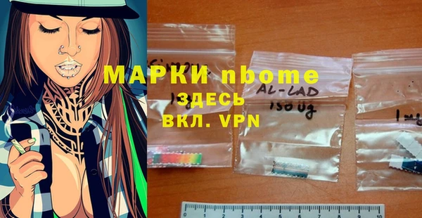 бошки Бородино