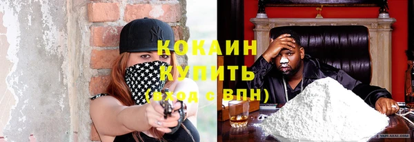 бошки Бородино